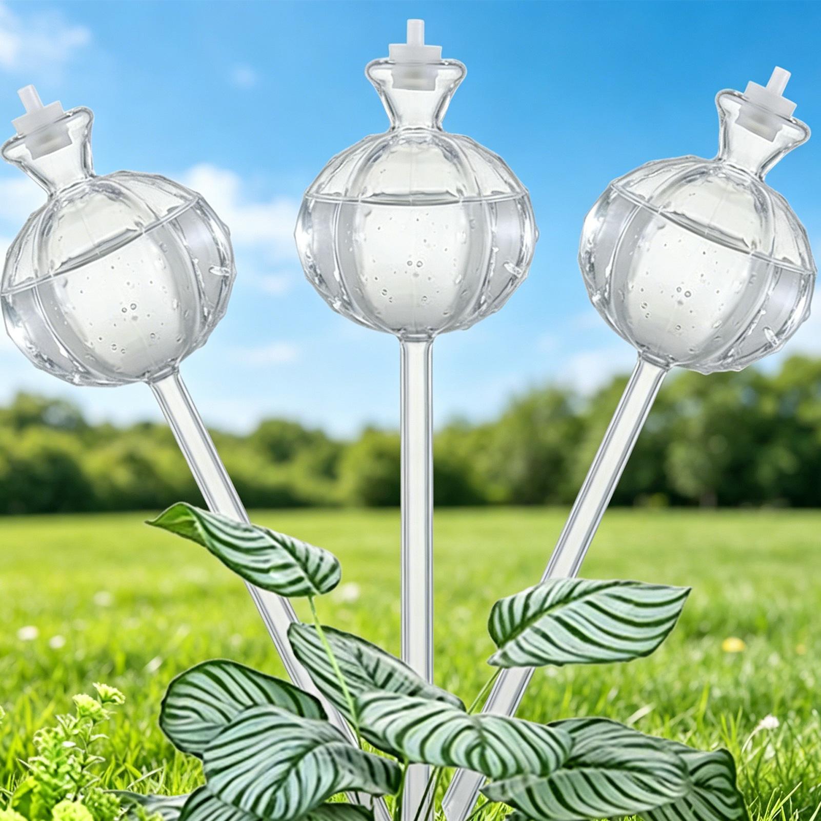 Globos de autorriego de libera - Self Watering Insert reseña y precio